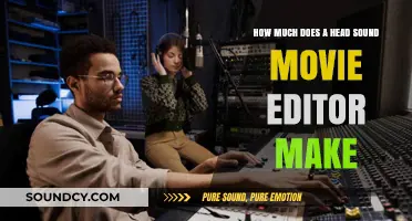 Head Sound Movie Editor Salary: Earnings and Industry Insights Revealed