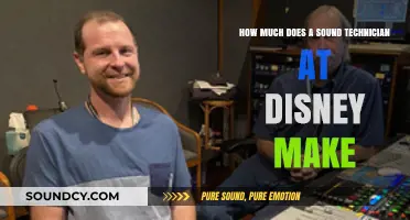 Disney Sound Technician Salary: Earnings and Career Insights Revealed