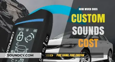 Custom Sounds Pricing: Factors Influencing Costs and Budgeting Tips