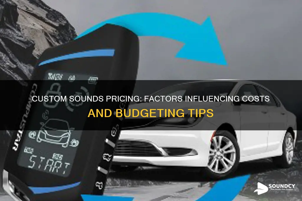 how much does custom sounds cost