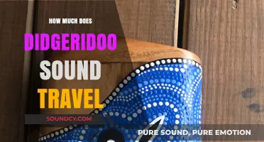 How Far Does Didgeridoo Sound Travel? Exploring Acoustic Reach