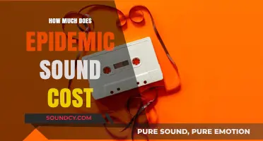 Epidemic Sound Pricing: Understanding the Cost of Royalty-Free Music