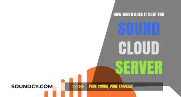 SoundCloud Server Costs: Understanding Expenses for Music Hosting