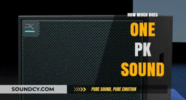 Unveiling the Cost of a PK Sound System: A Comprehensive Guide