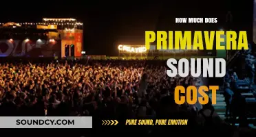 Primavera Sound Festival Ticket Prices: A Comprehensive Cost Breakdown