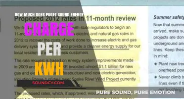 Puget Sound Energy Electricity Rates: Understanding kWh Charges and Costs