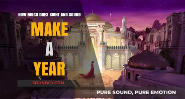 Sight and Sound's Annual Revenue: A Comprehensive Financial Overview