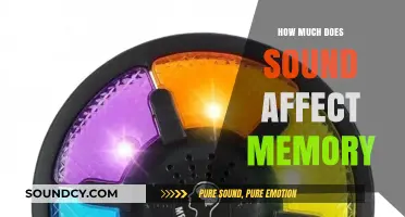The Surprising Impact of Sound on Memory Retention and Recall