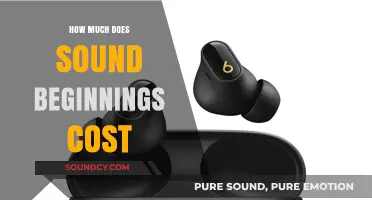 Sound Beginnings Cost: Affordable Music Education for Your Child