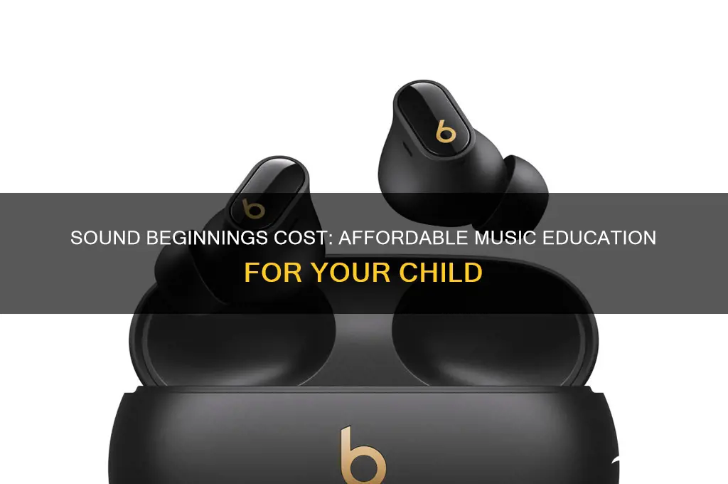 how much does sound beginnings cost