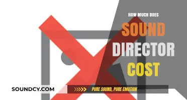 Understanding Sound Director Costs: Budgeting for Audio Excellence