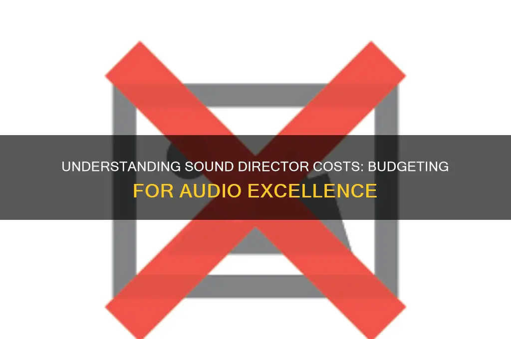 how much does sound director cost