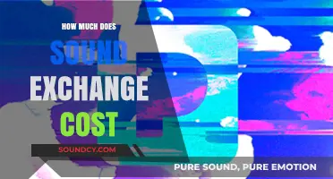 Understanding SoundExchange Costs: Fees, Royalties, and Pricing Explained