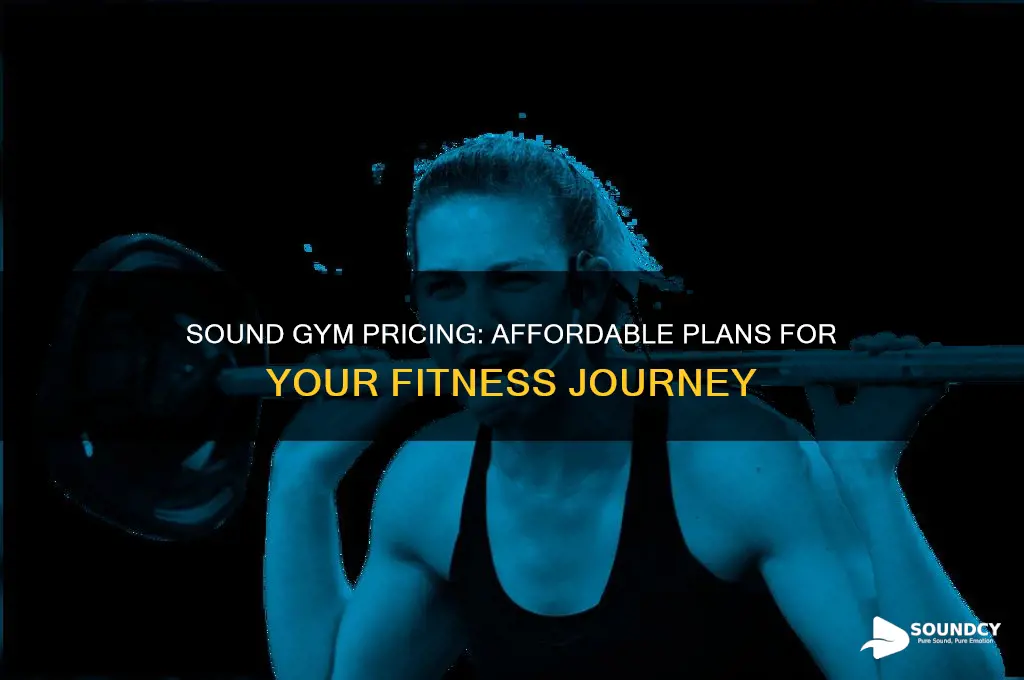 how much does sound gym cost