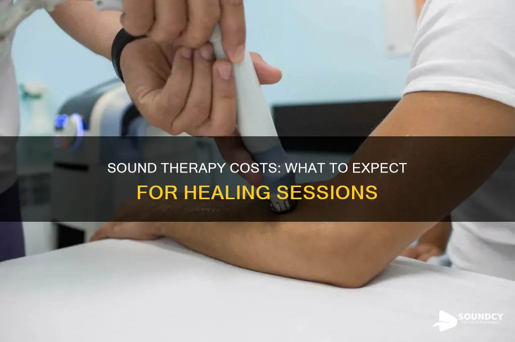 how much does sound therapy cost
