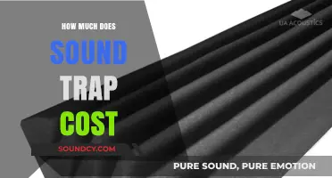 Sound Trap Pricing: Understanding the Cost of Acoustic Solutions