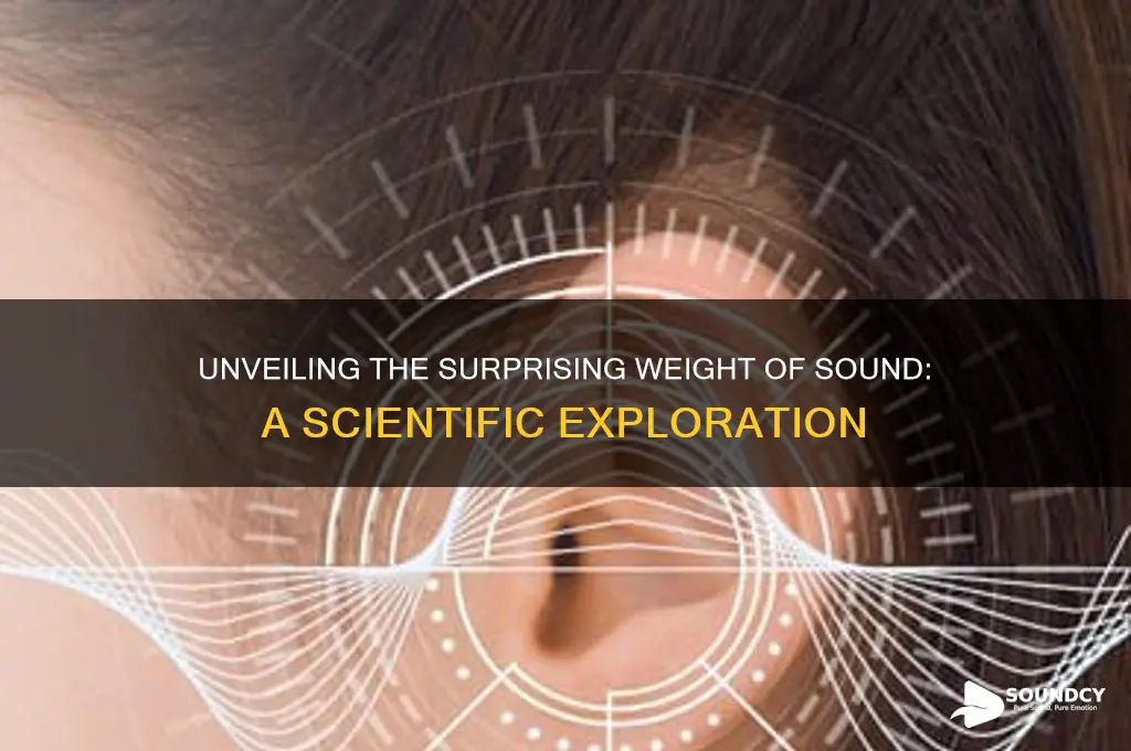 how much does sound weigh