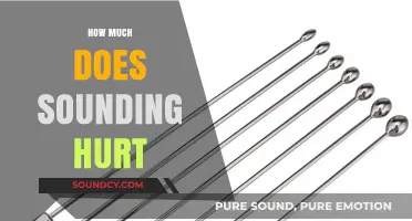 Does Sounding Hurt? Exploring the Pain and Pleasure of Urethral Play