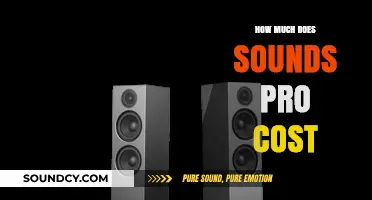 Sound Pro Pricing: Cost Breakdown and Subscription Plans Explained