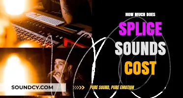 Splice Sounds Pricing: Cost Breakdown and Subscription Plans Explained