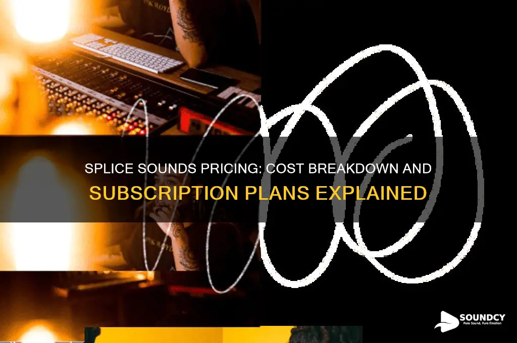 how much does splice sounds cost