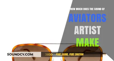 The Sound of Aviators: Artist Earnings and Success Unveiled