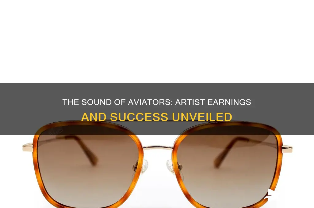 how much does the sound of aviators artist make