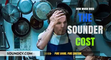 Sounder Cost Breakdown: What to Expect When Purchasing