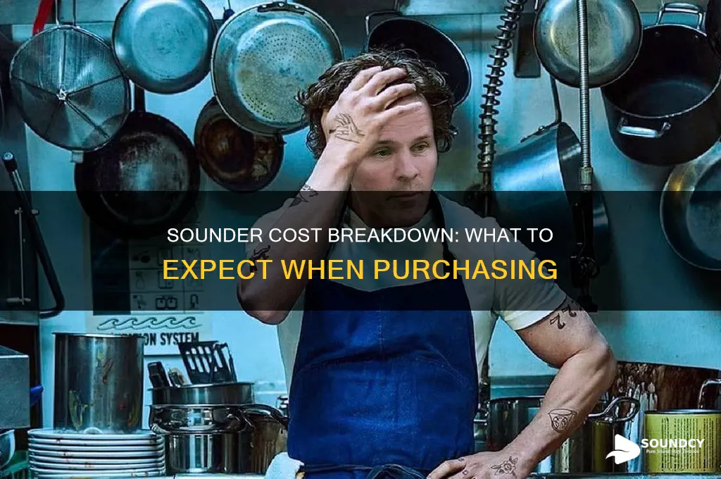 how much does the sounder cost