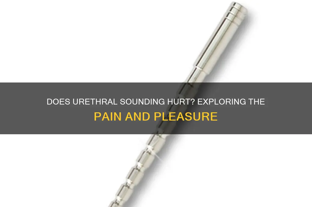 how much does urethral sounding hurt