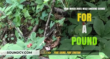 Wild Ginseng Value: Uncovering the Price per Pound in Today's Market