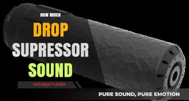Effective Sound Reduction: How Much Do Drop Suppressors Actually Quiet?