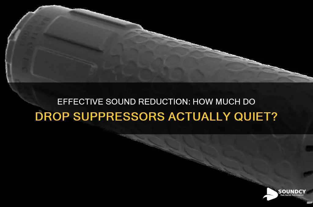 how much drop supressor sound
