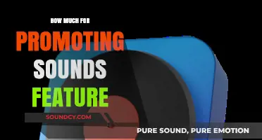 Promoting Your Sounds Feature: Pricing Strategies for Effective Campaigns