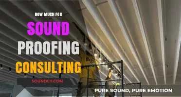 Soundproofing Consulting Costs: What to Expect for Expert Advice
