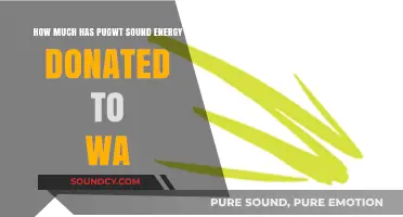 Pugwt Sound Energy's Charitable Contributions to Washington State Revealed