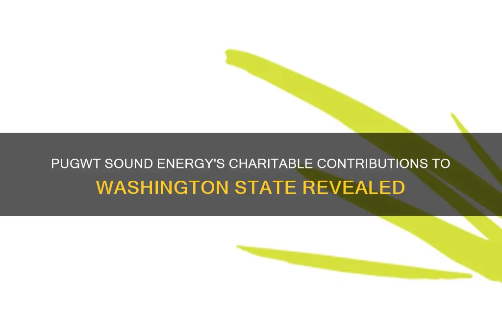 how much has pugwt sound energy donated to wa