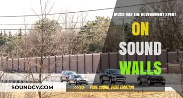 Government Spending on Sound Walls: A Costly Noise Reduction Investment