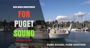 Sizing Up Horsepower Needs for Puget Sound Boating Adventures