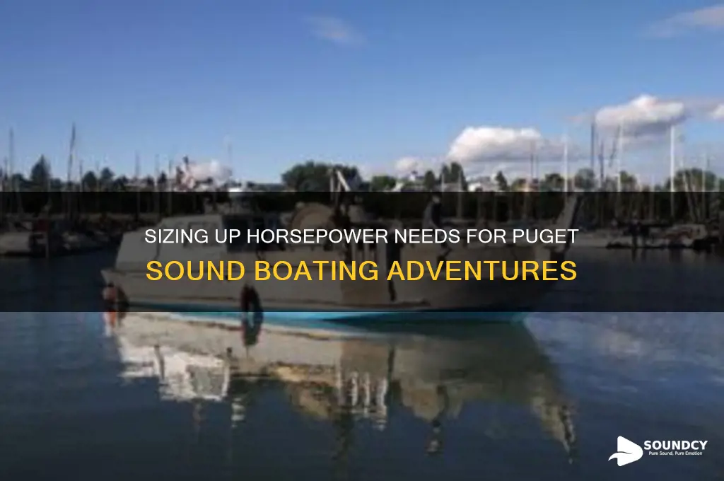 how much horsepower for puget sound
