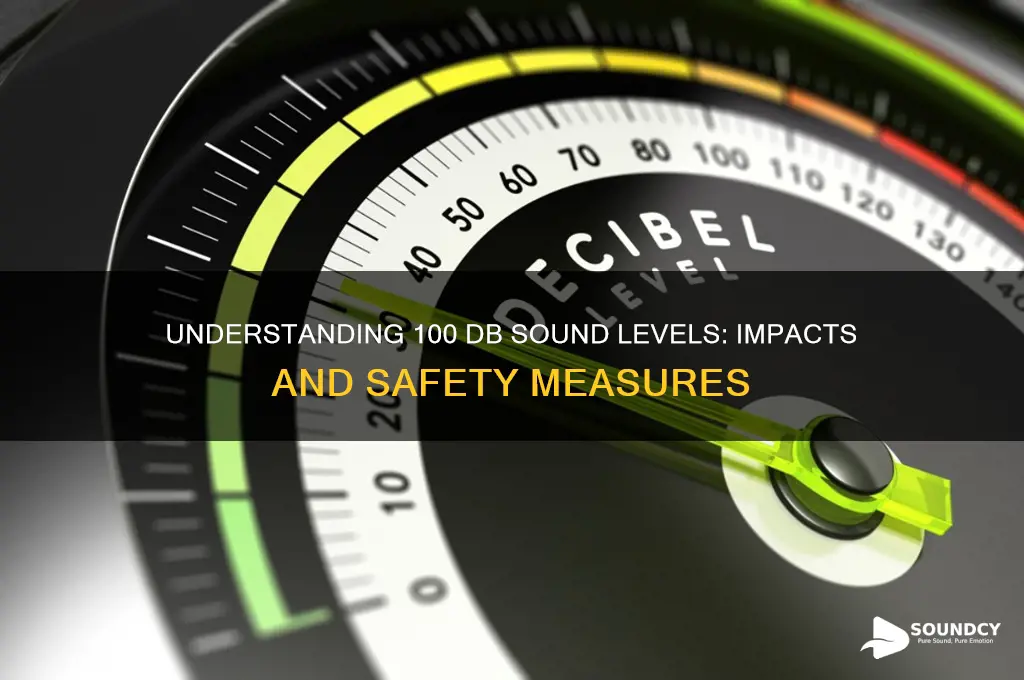 how much is 100 db sound