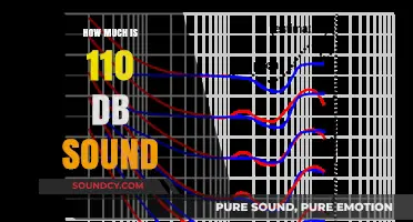 Understanding the Impact of 110 dB Sound Levels on Hearing and Health