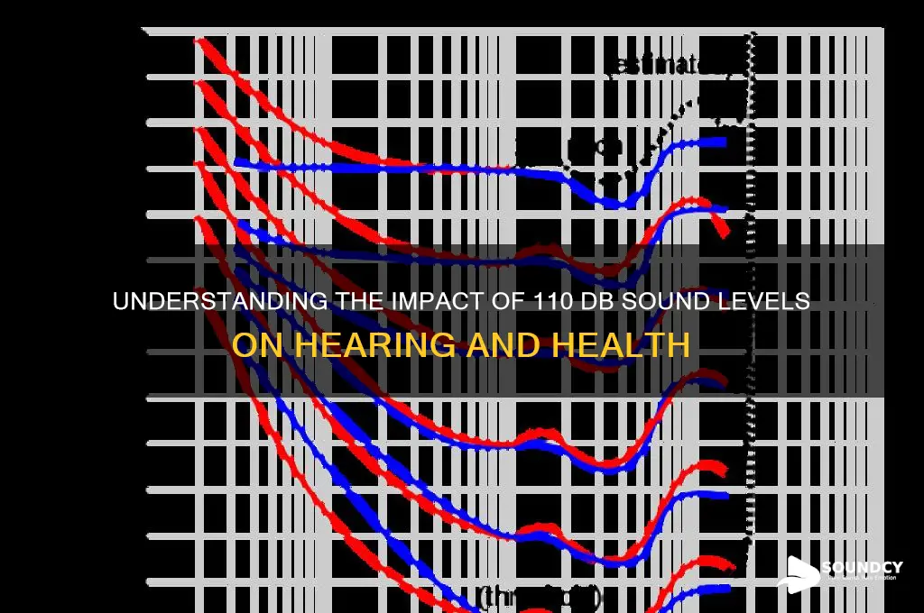 how much is 110 db sound