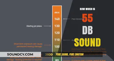 Understanding Decibel Levels: 55 DB of Sound