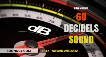 Understanding 60 Decibels: What Does This Common Sound Level Mean?