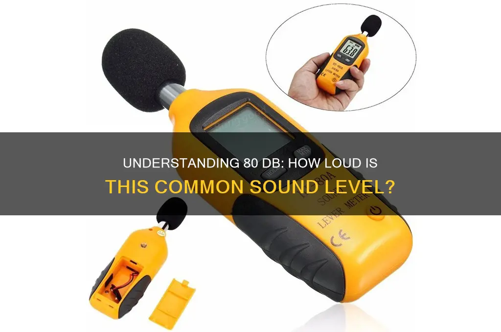 how much is 80 db sound