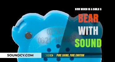 Build-A-Bear with Sound: Pricing Guide for Custom Stuffed Animals