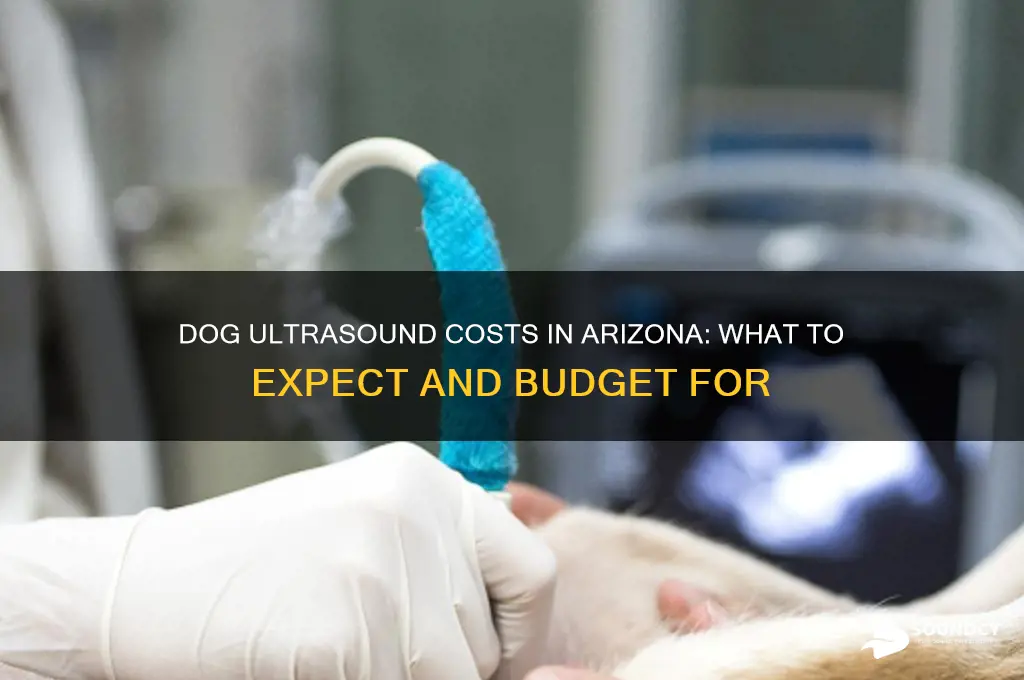 how much is a dog ultra sound in az