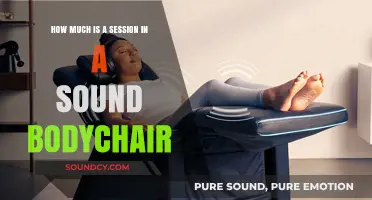 Sound Bodychair Session Cost: What to Expect for Your Wellness Investment