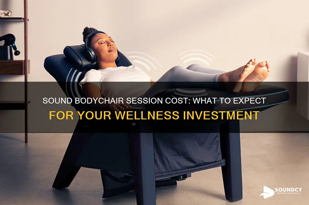 how much is a session in a sound bodychair